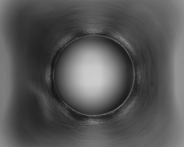 X0000099930490200805301201