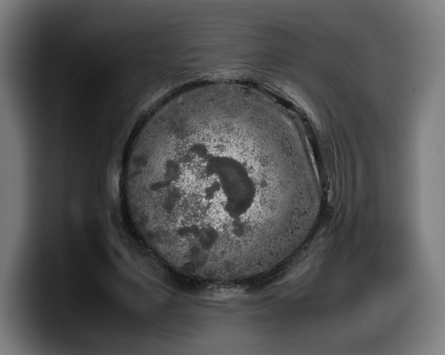 X0000099930491200805301201