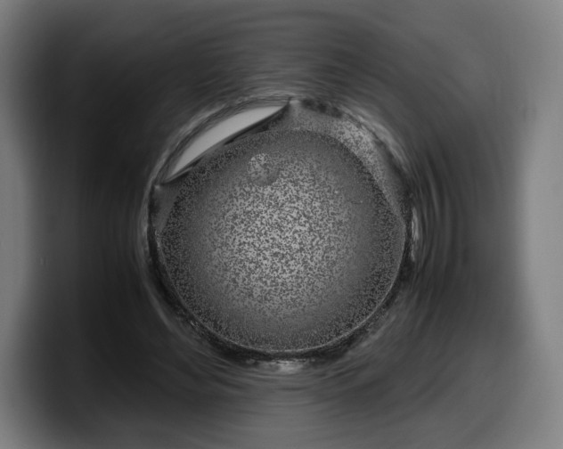 X0000099930492200805301201