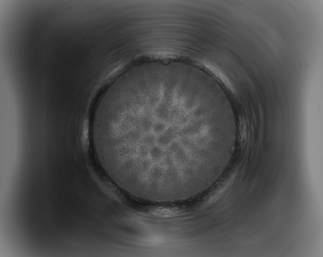 X0000099930494200805301201