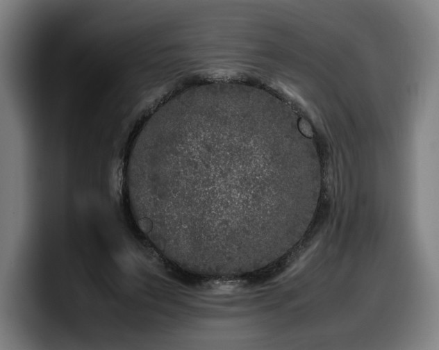 X0000099930495200805301201