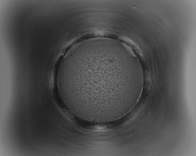 X0000099930496200805301201