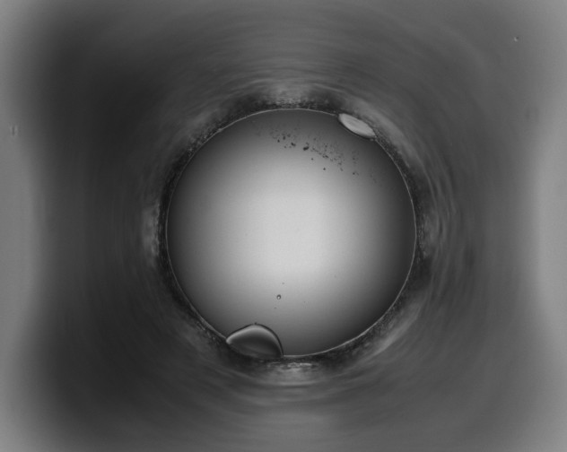 X0000099930497200805301201