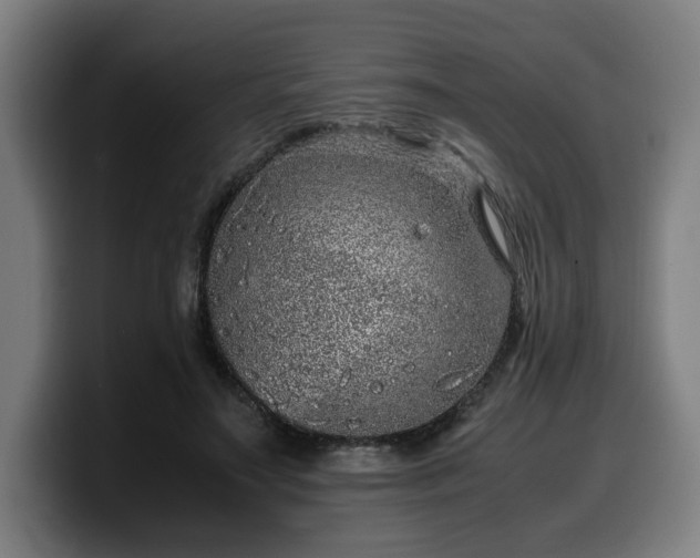 X0000099930499200805301201