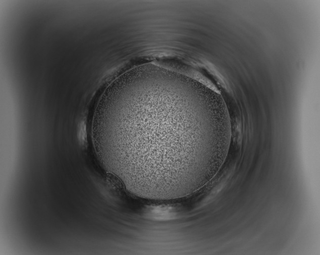 X0000099930500200805301201