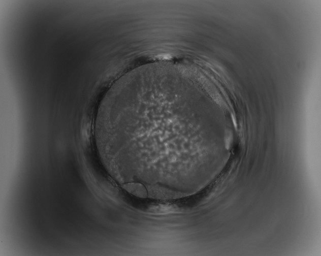 X0000099930503200805301200