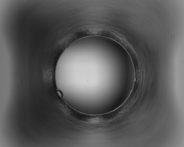 X0000099930505200805301200