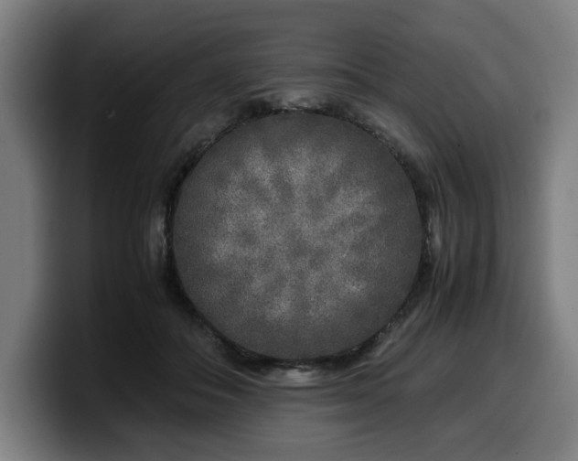 X0000099930506200805301200