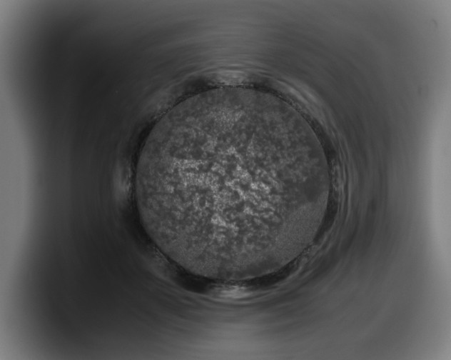 X0000099930507200805301200