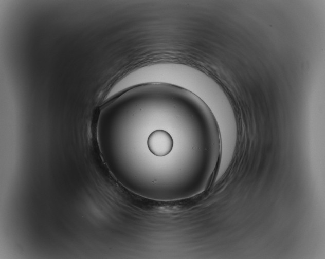 X0000099930508200805301200