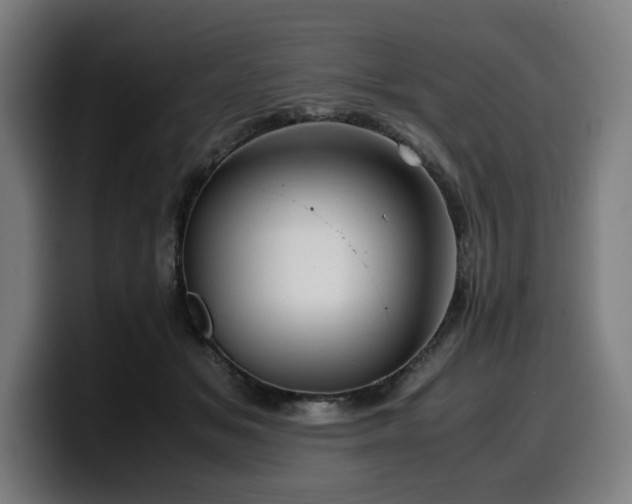 X0000099930509200805301200