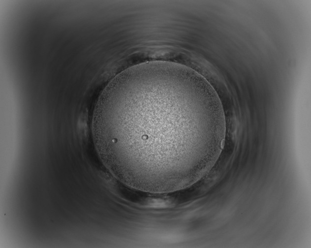 X0000099930510200805301200