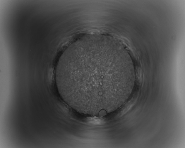 X0000099930511200805301200