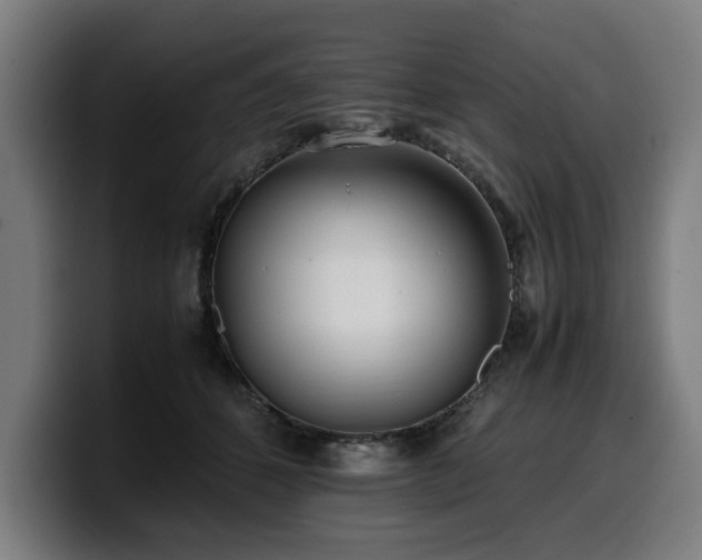 X0000099930512200805301200