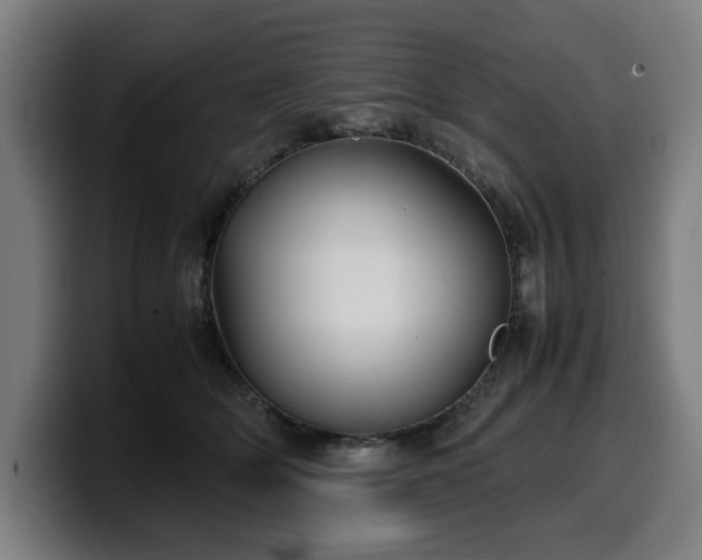 X0000099930514200805301200