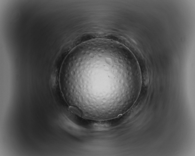 X0000099930515200805301200