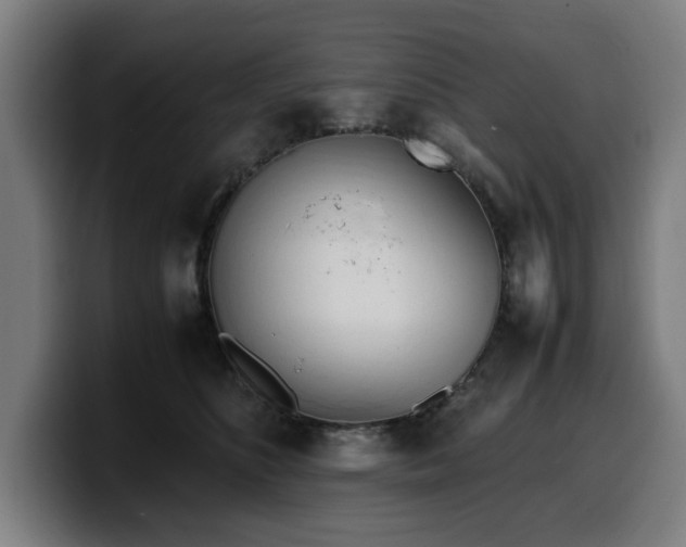 X0000099930516200805301200