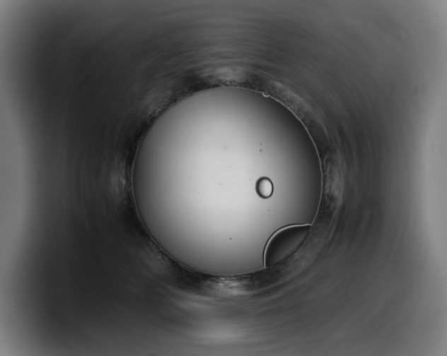 X0000099930518200805301200