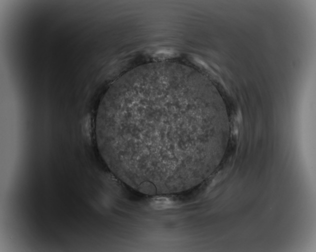 X0000099930519200805301200