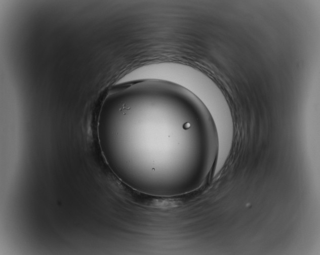 X0000099930520200805301200