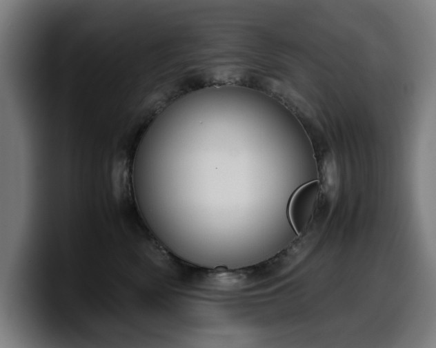 X0000099930522200805301200