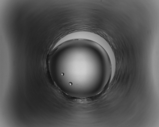 X0000099930524200805301200