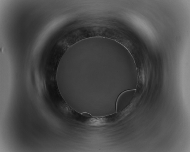 X0000099930526200805301200