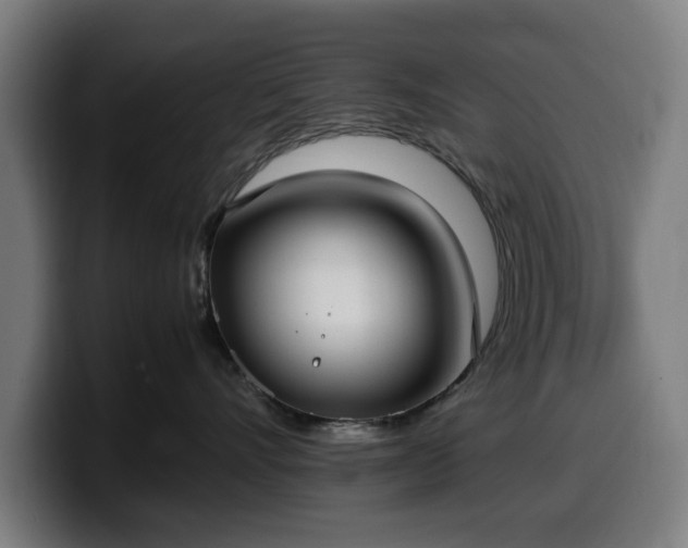 X0000099930528200805301200