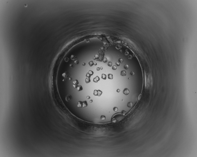 X0000099930531200805301200