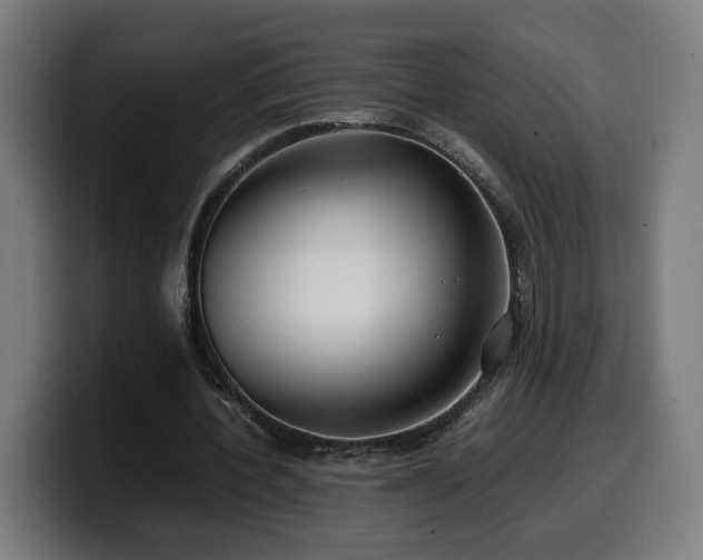 X0000099930532200805301200