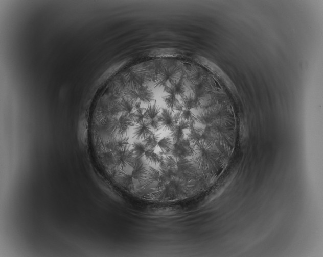 X0000099930533200805301200