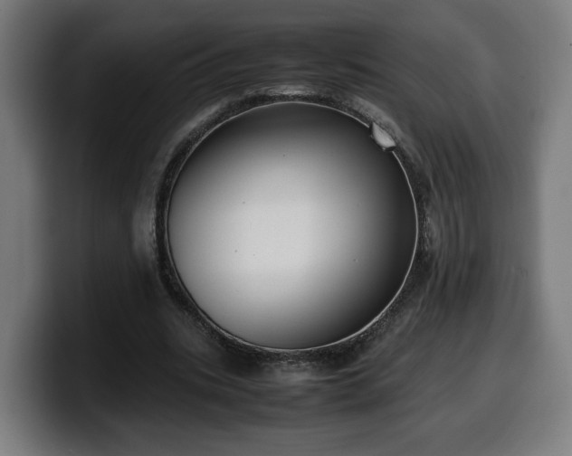 X0000099930535200805301200