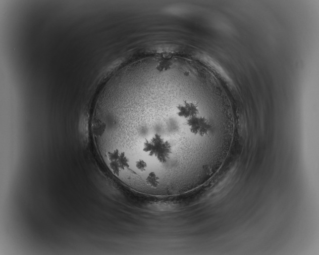 X0000099930537200805301200