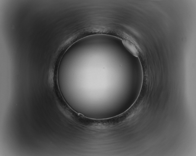 X0000099930538200805301200