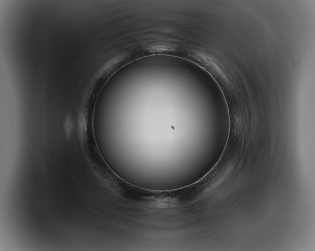 X0000099930539200805301200