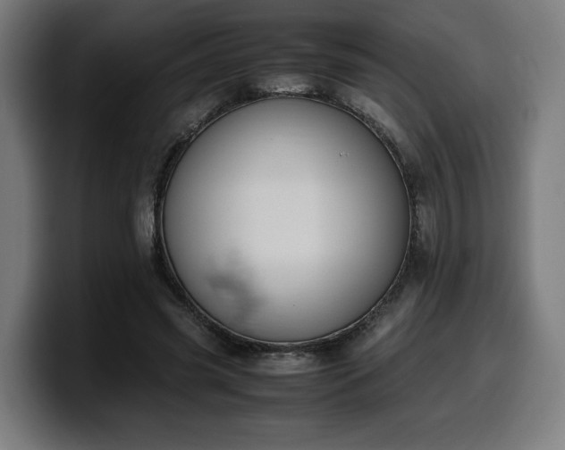 X0000099930541200805301200