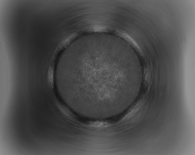 X0000099930542200805301200