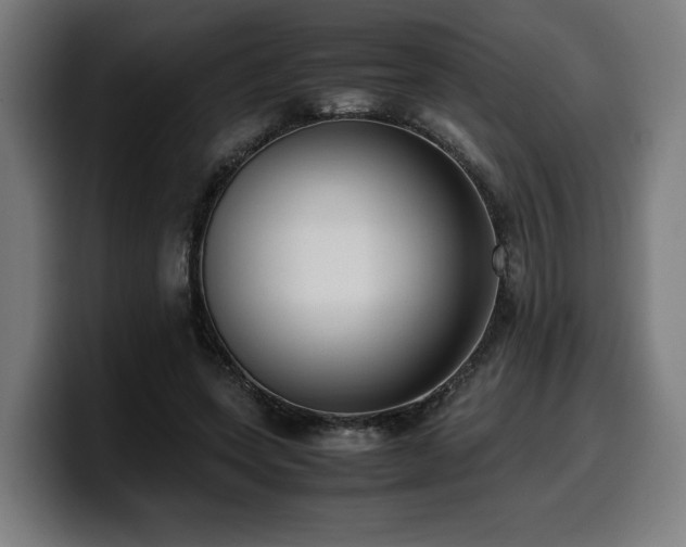 X0000099930543200805301200