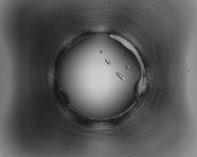 X0000099930544200805301200