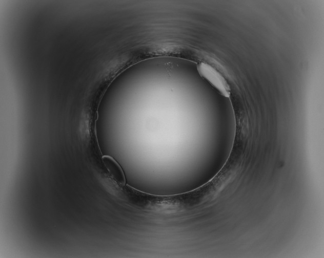 X0000099930546200805301200