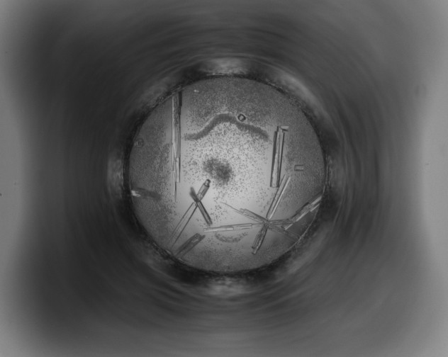 X0000099930549200805301200