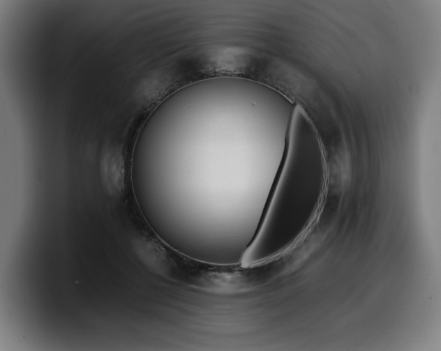 X0000099930552200805301200