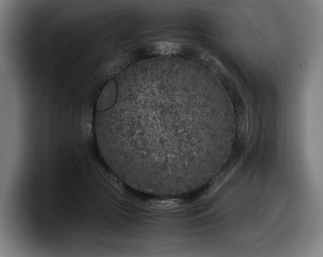 X0000099930553200805301200