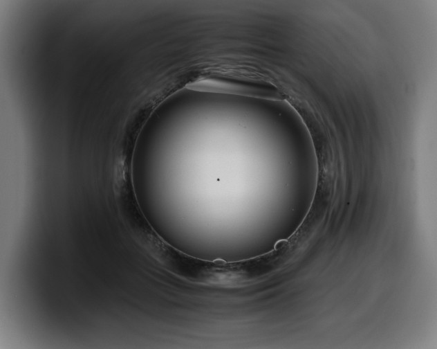 X0000099930555200805301200