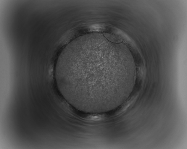 X0000099930557200805301200