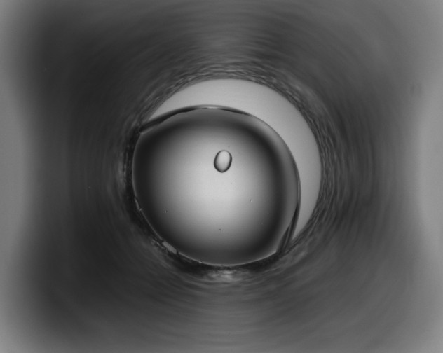 X0000099930558200805301200