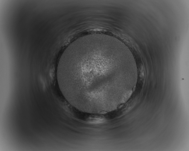 X0000099930559200805301200