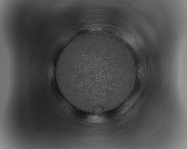 X0000099930561200805301200