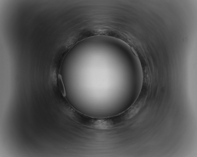 X0000099930562200805301200