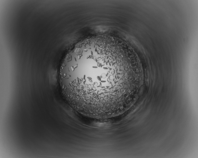 X0000099930563200805301200